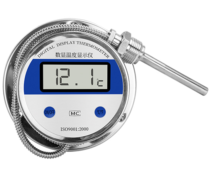 WST-491 Digital thermometer with probe